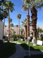 featured image of 1150 East Palm Canyon Drive #21