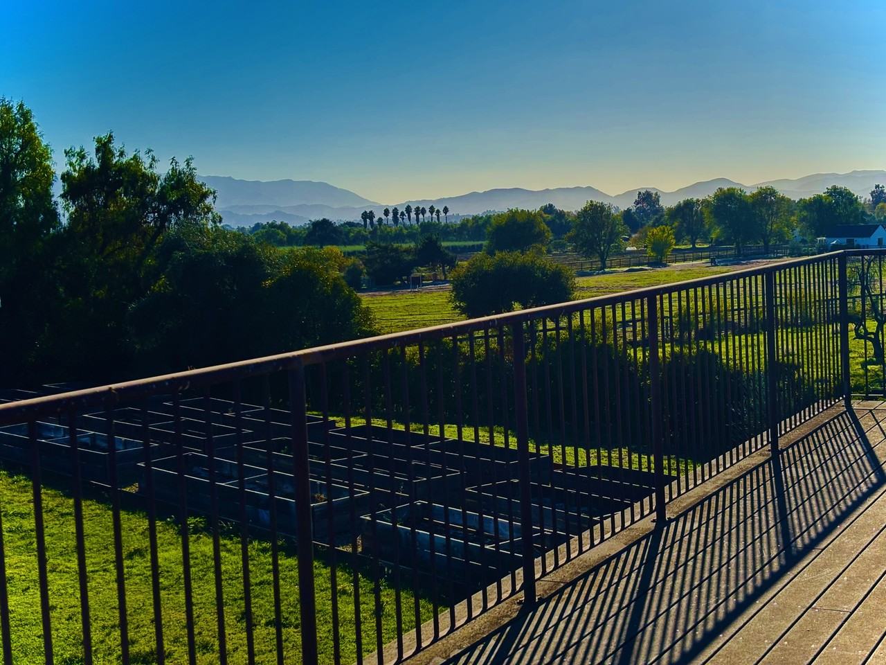 3730 Roblar Ave #NA - Photo 7 of 41