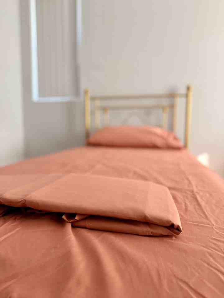 1265 E Adams Blvd #1265