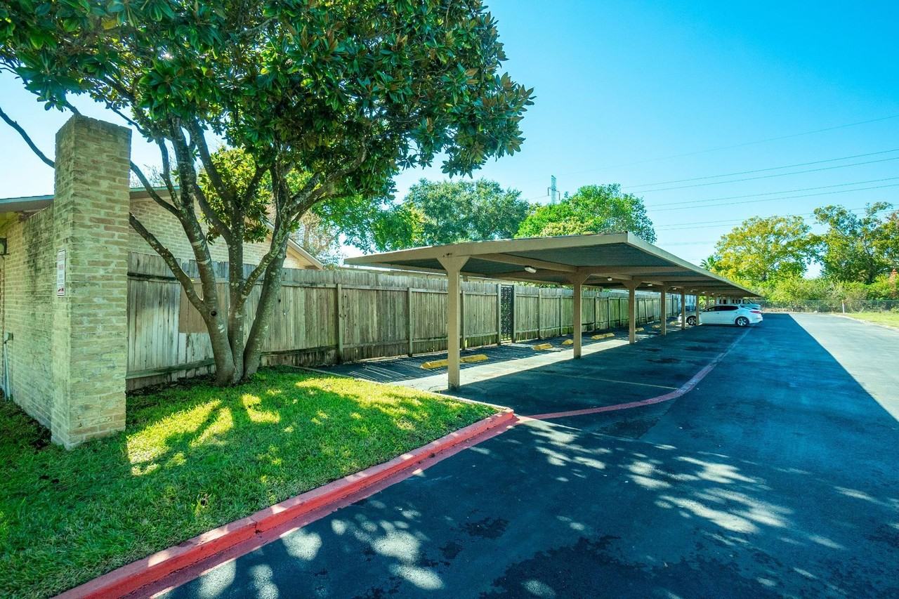 Gold Talon - Photo 4 of 26