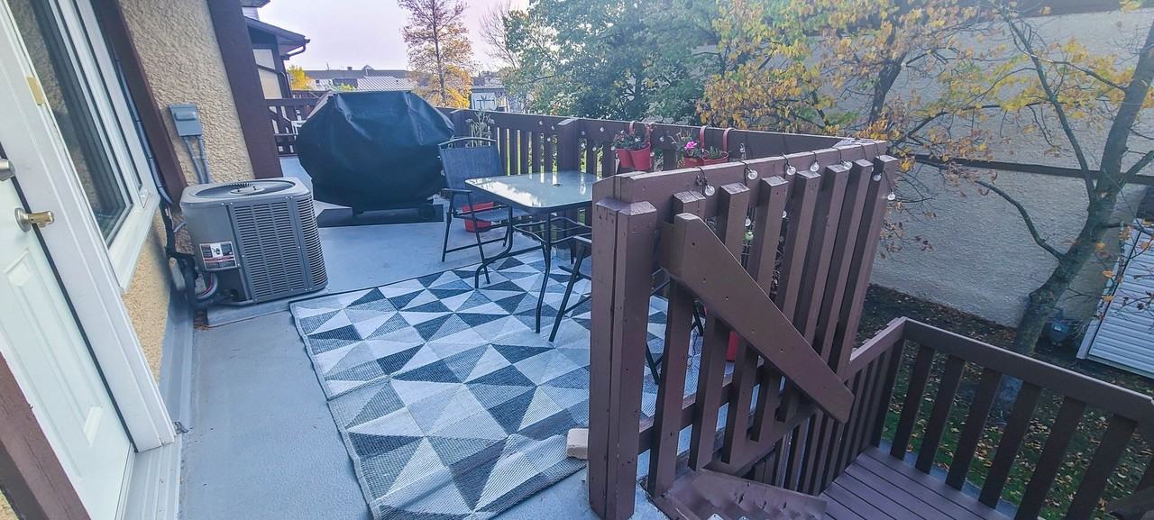 54 Paddington Road - Photo 3 of 12