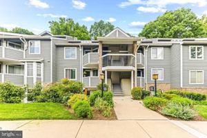 featured image of 9463 Hickory Limb