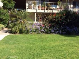 481 Calle Cadiz #B - Photo 1 of 1