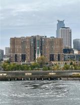 401 S 1st St #1007 - Photo 1 of 1