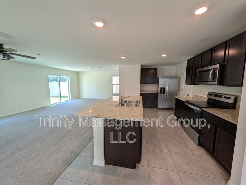 13686 Whiskey Daisy Dr - Photo 2 of 10