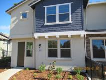 1804 Lucky Star Pl - Photo 1 of 1