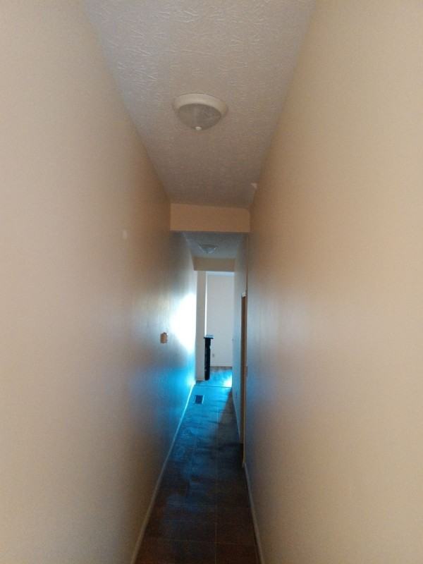 913 S Limestone St - Photo 4 of 8