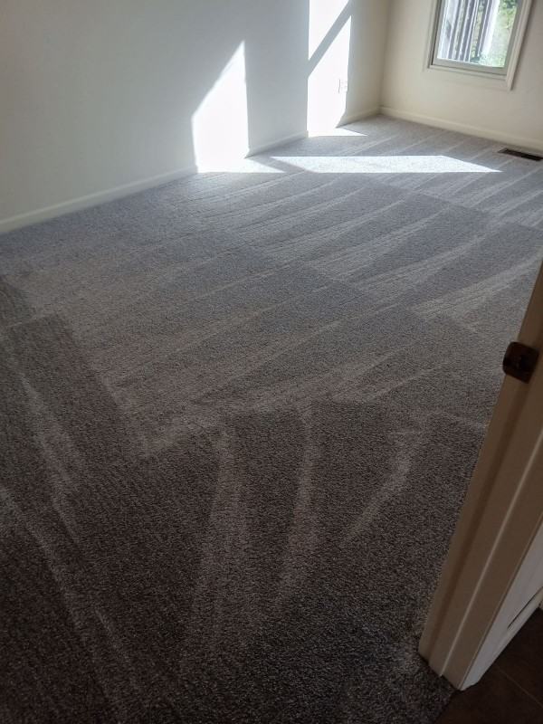 913 S Limestone St - Photo 5 of 8