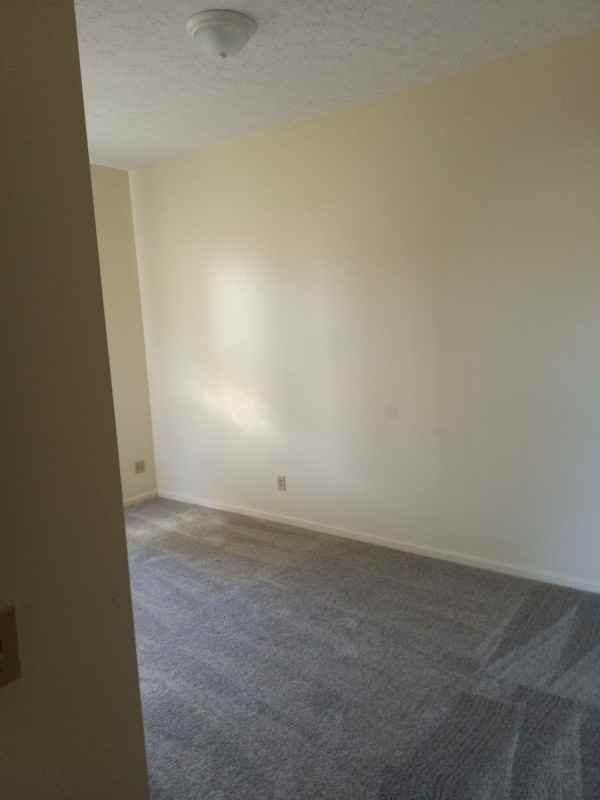 913 S Limestone St - Photo 6 of 8