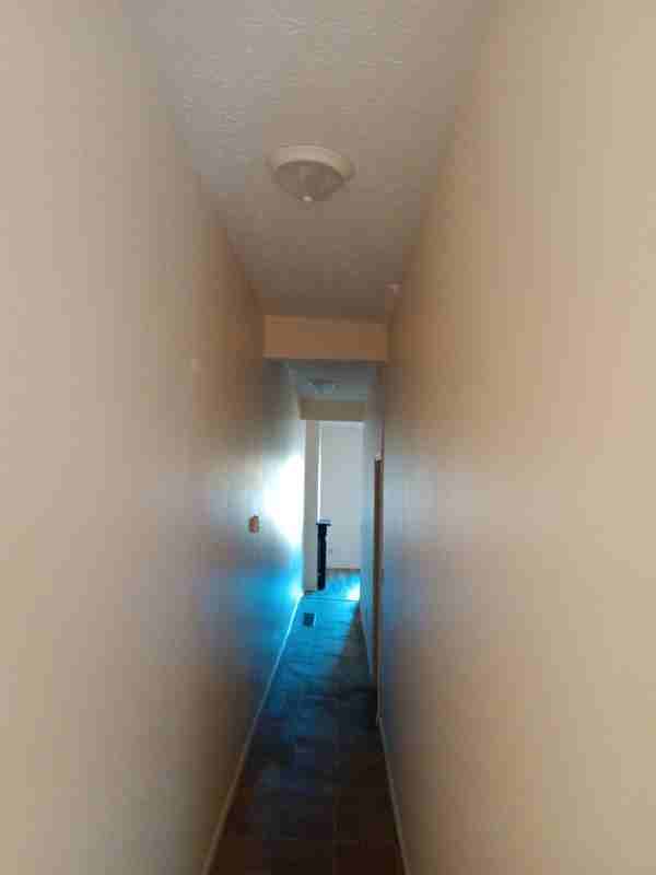 909 S Limestone St - Photo 4 of 8