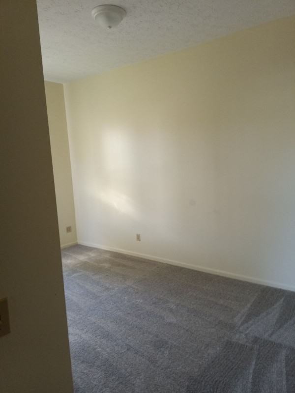 909 S Limestone St - Photo 6 of 8