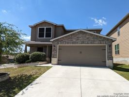 featured image of 803 Roping Horse