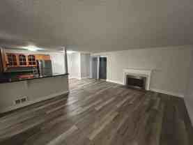 3120147 - Photo 1 of 1