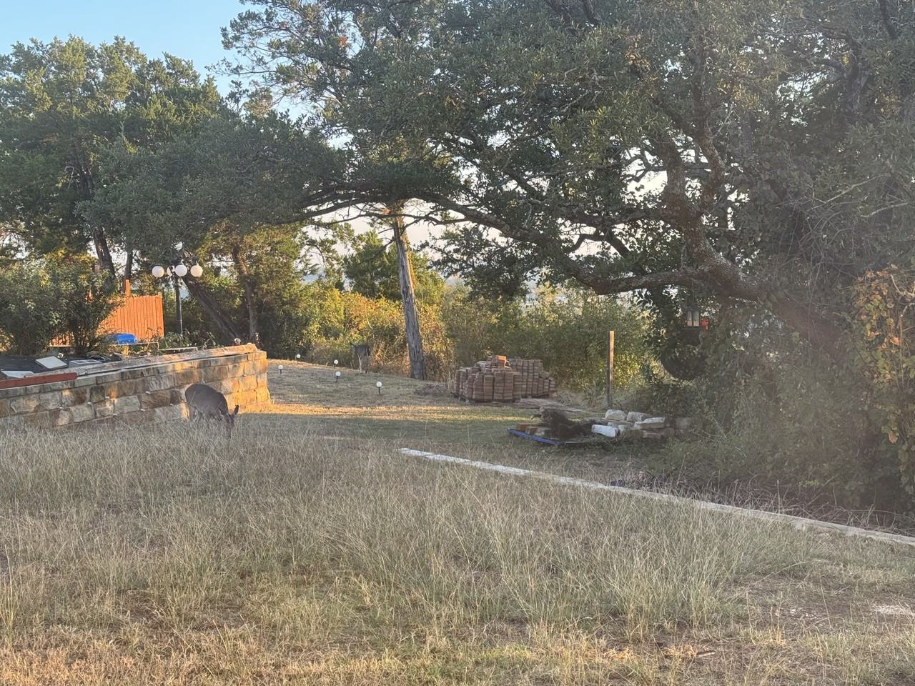 1915 Sutton Place Trl #NA - Photo 4 of 9