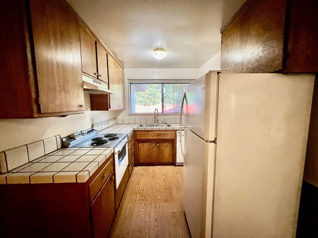 651 Belladonna Ct - Photo 7 of 12