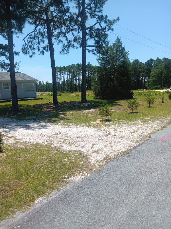 255 Rowe Ave - Photo 2 of 20