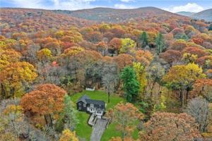 featured image of 58 Big Trl