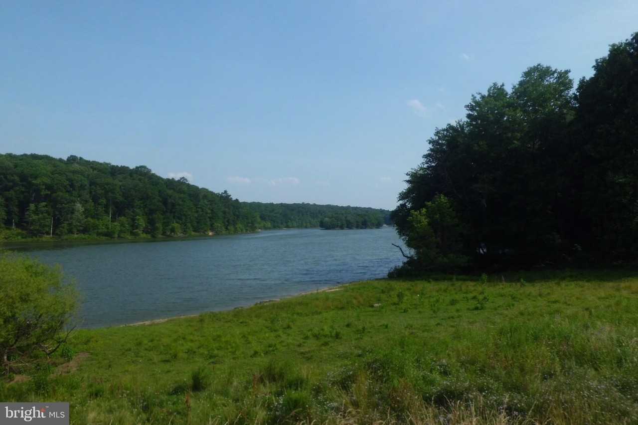 3808 Delano Street - Photo 5 of 50