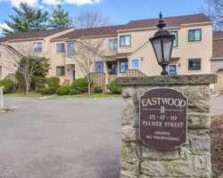 featured image of 19 Palmer St