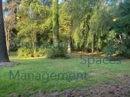 featured image of 773 Downing Street