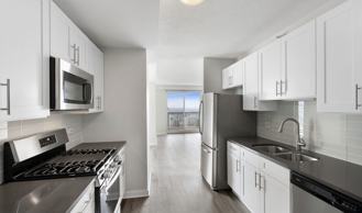 545 N Dearborn St #1901 - Photo 1 of 1