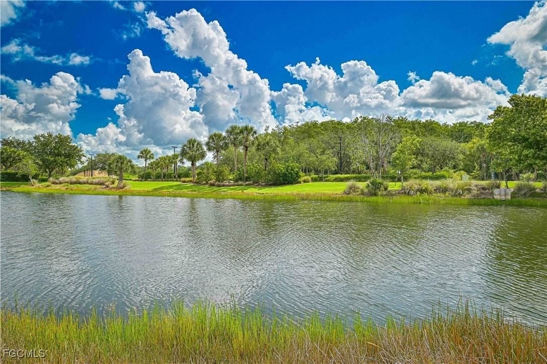 15239 Ligustrum Ln - Photo 7 of 44