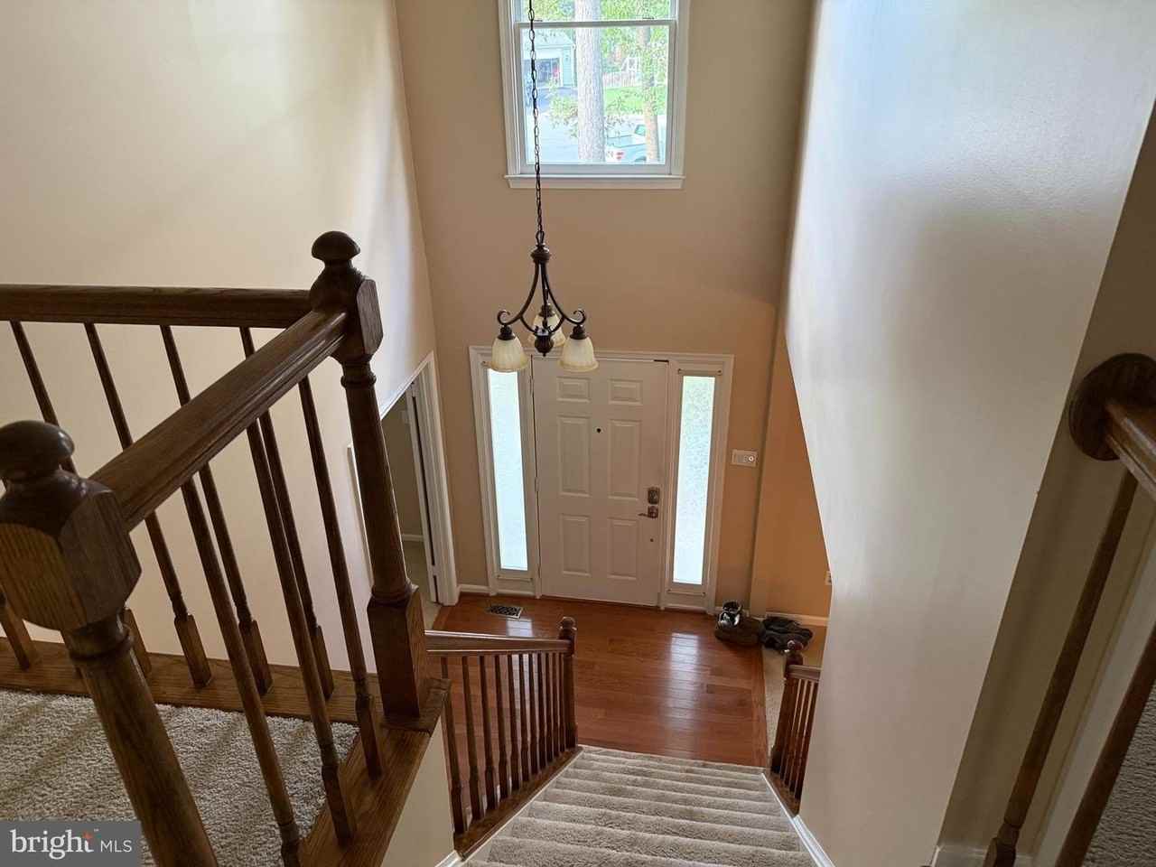 3869 Appaloosa Dr - Photo 5 of 16