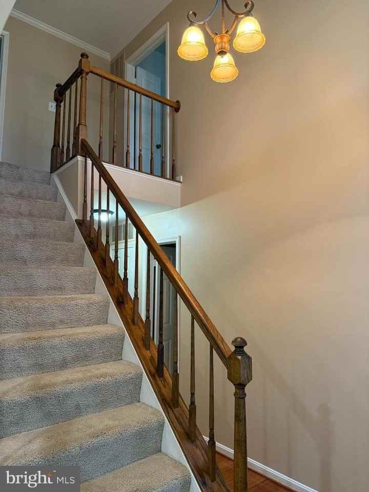 3869 Appaloosa Dr - Photo 6 of 16