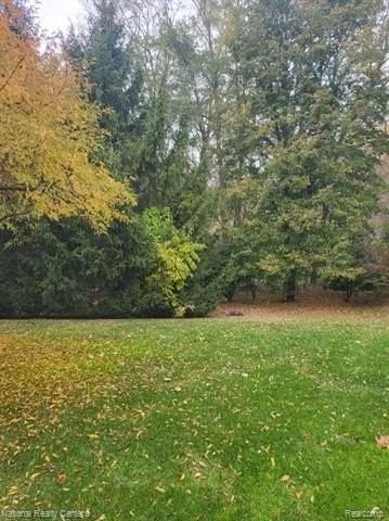 5028 Clintonville Pines Dr - Photo 5 of 19