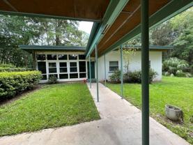 2002 Chowkeebin Nene - Photo 1 of 1