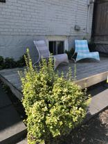 2A Tiverton Avenue #Lower - Photo 1 of 1