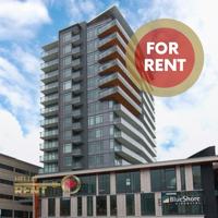 featured image of 111 13th Street East #1505