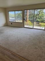 Classic Apartments in Magnolia close to The Locks - Photo 1 of 1