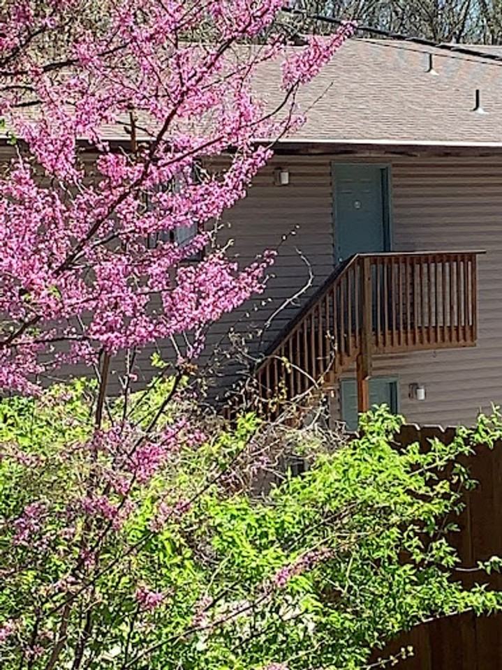 Moss Creek Apartments - Photo 6 of 47