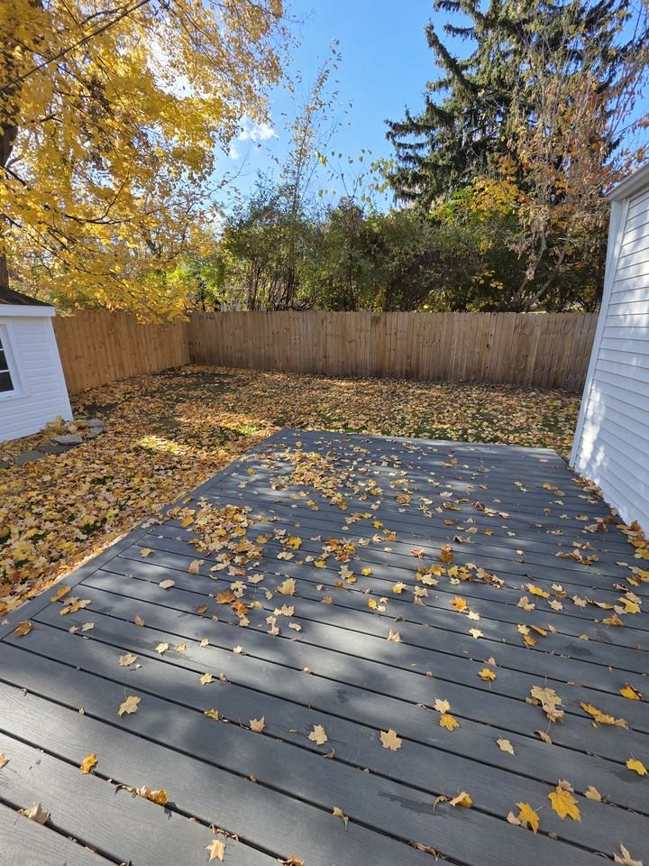 355 W Saint Clair St - Photo 4 of 15