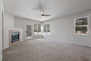 5103 Southern Cross Ln - Photo 1 of 1