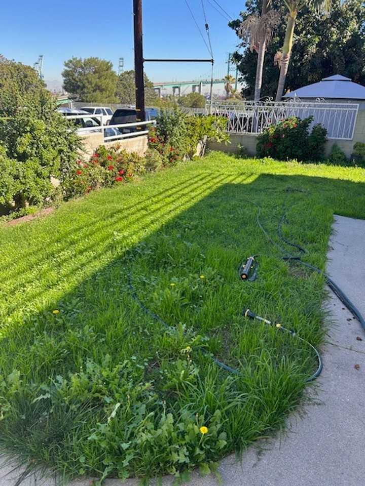 267Amar - Photo 2 of 2