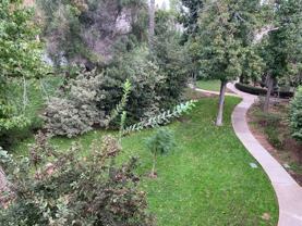 7500 Parkway Dr #302 - Photo 1 of 1