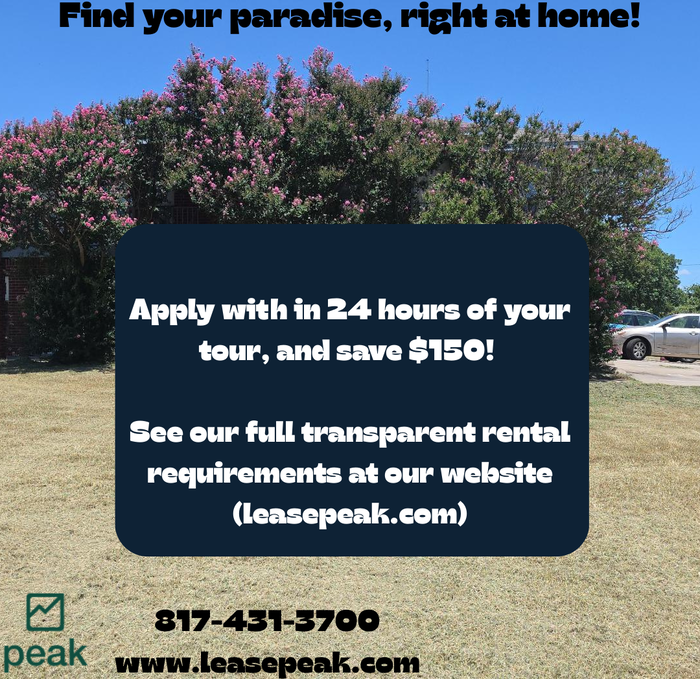 205 Joyce St #B - Photo 3 of 18