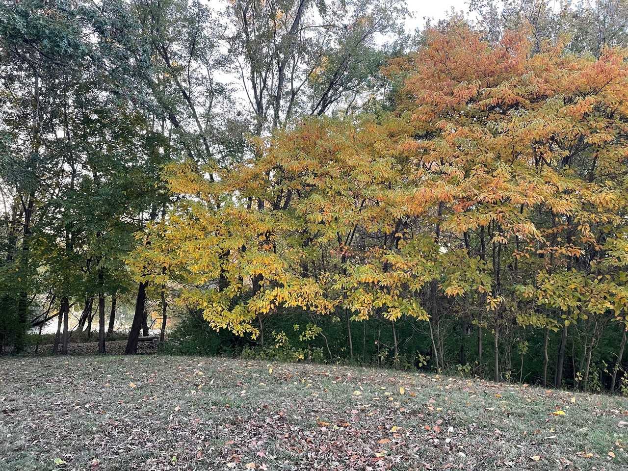 4759 Blackburn Rd #NA - Photo 2 of 14