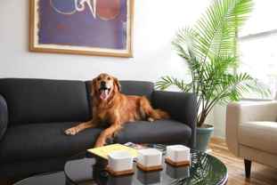 Artisan Hill - Photo 1 of 1