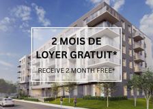 Elora MTL - Photo 1 of 1