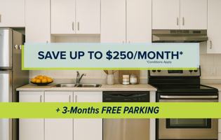 featured image of 260 Dalhousie St