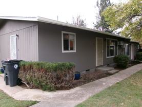 Bessie - Photo 1 of 1