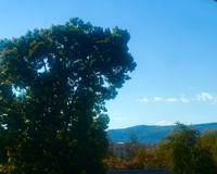 863 Flynn St #203 - Photo 1 of 1