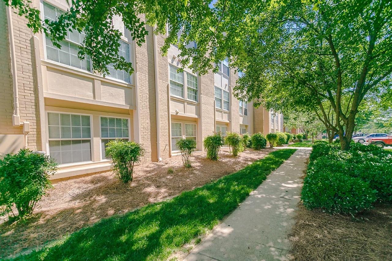 The School at Spring Garden - Photo 3 of 50