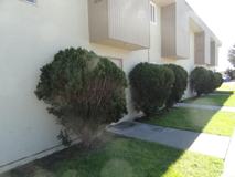 luns19 - Photo 1 of 1