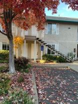 1125 Sheridan Ave #53 - Photo 1 of 1