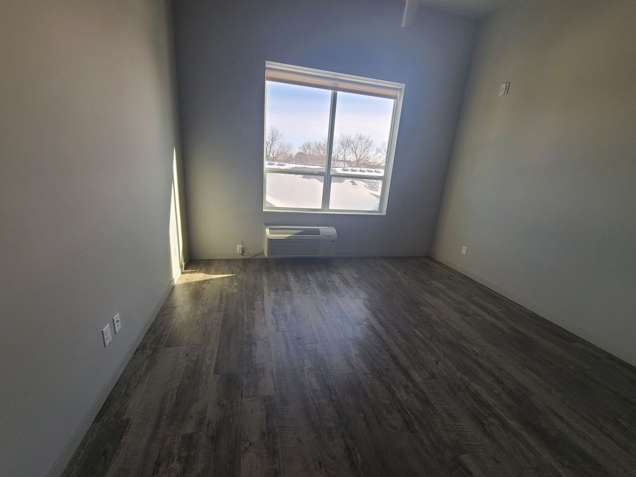 Lume - Photo 7 of 19