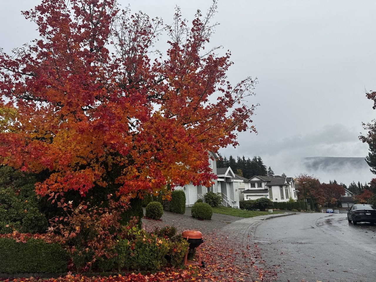 2152 Berkshire Crescent - Photo 7 of 17